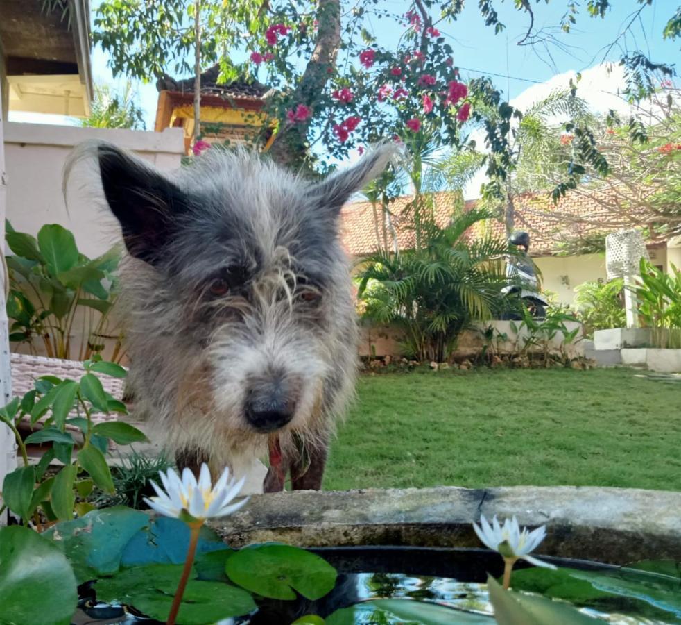 Villa Ricca Eco Lodge Uluwatu Dış mekan fotoğraf
